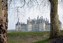 Arbres et château de Chambord
