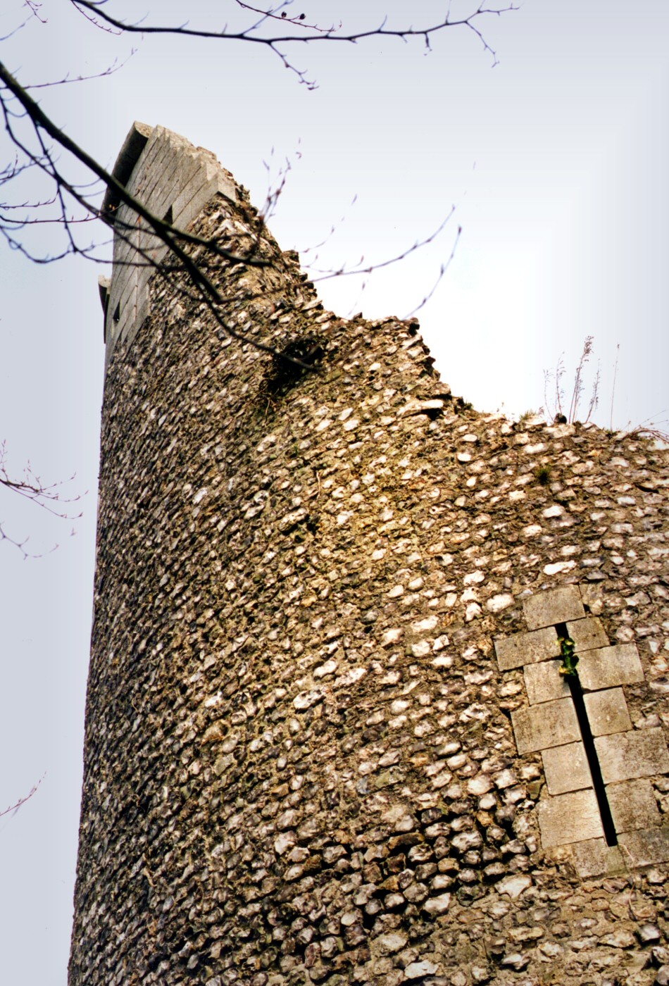 Tour en ruines du château de Bonneville