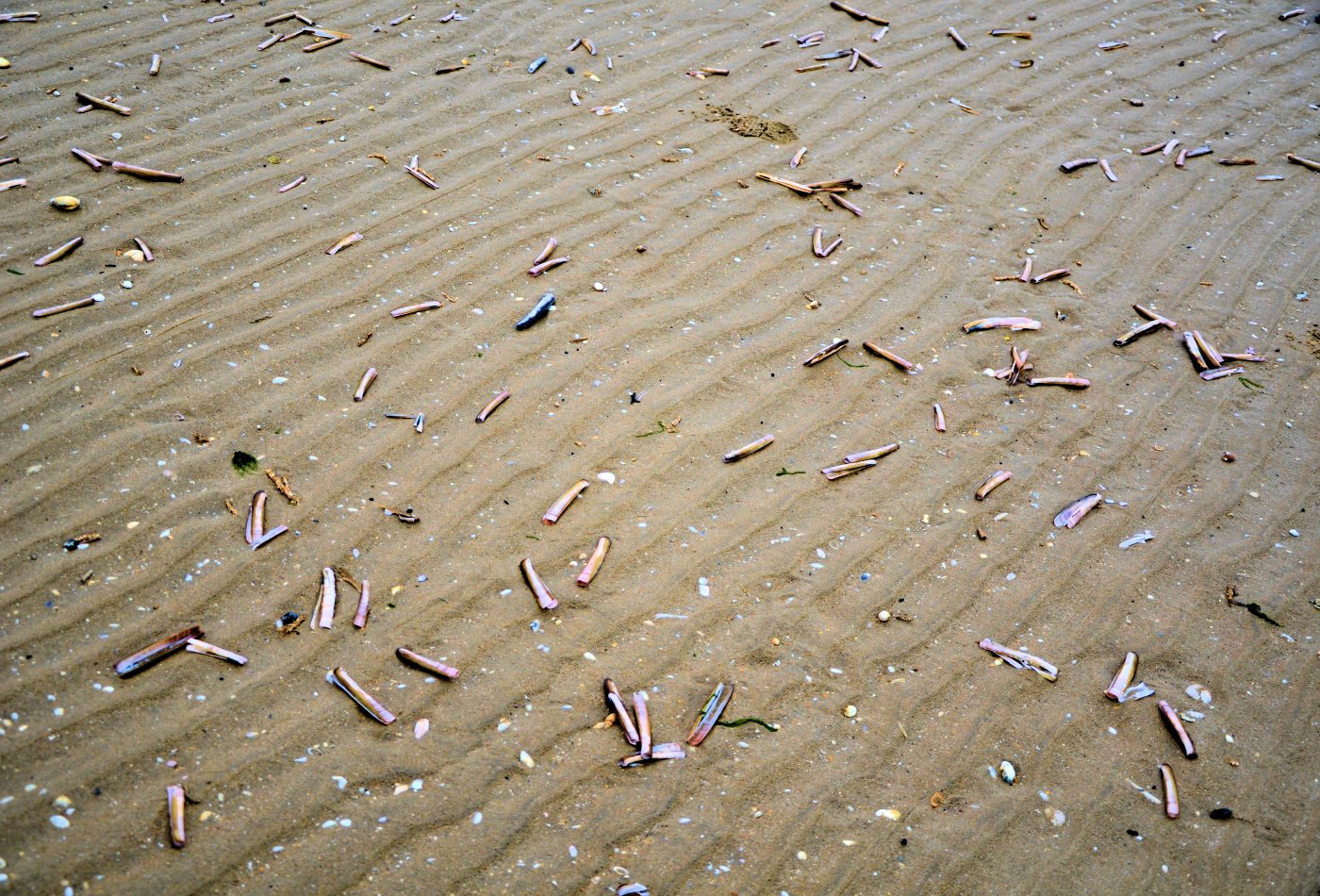 Couteaux sur la plage de Cabourg